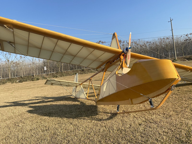 (image for) HC-VP 1:3 SCALE SG-38 SCHULGLEITER 3.4m WINGSPAN